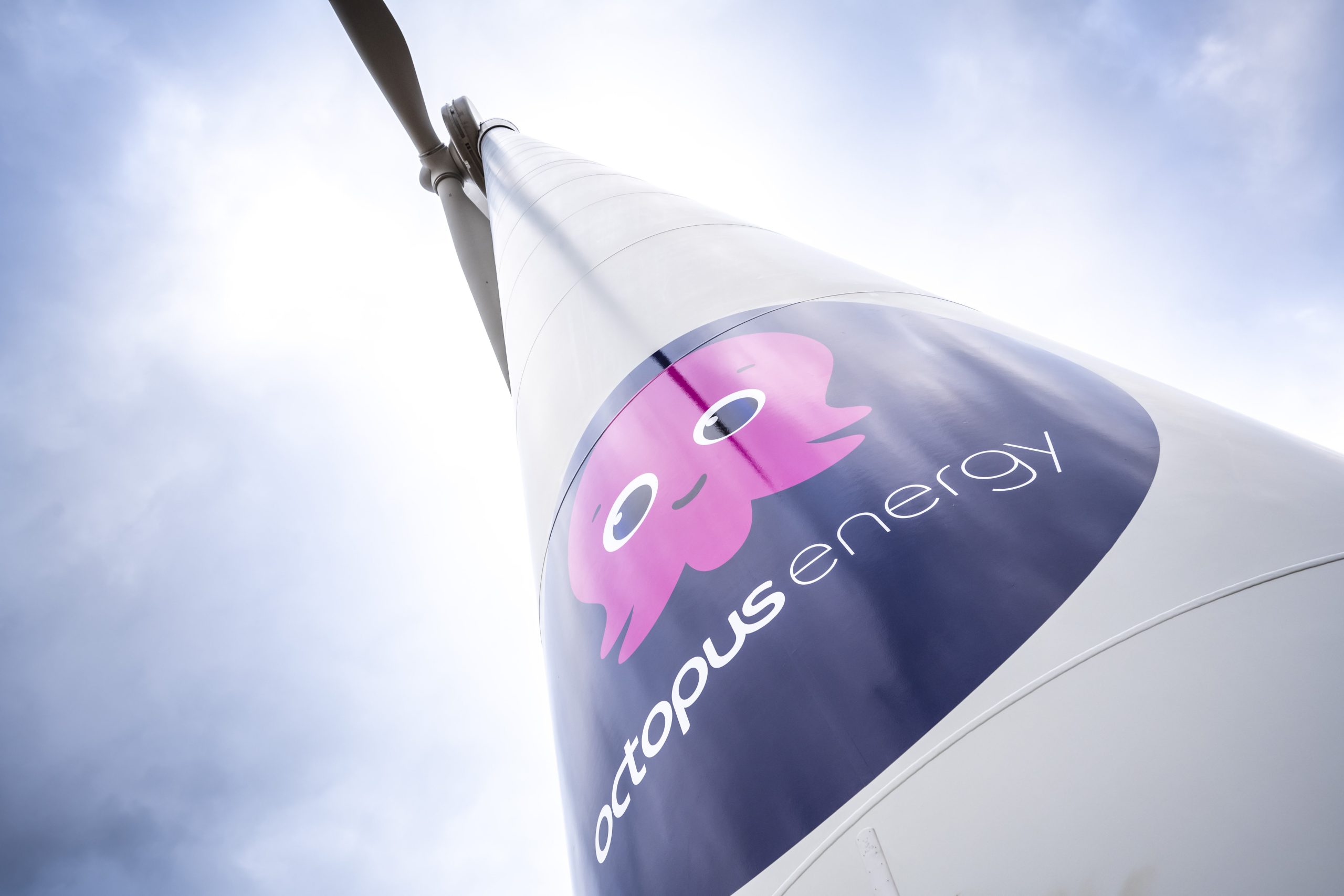 BESS Market Entry for Octopus Energy - Quorum